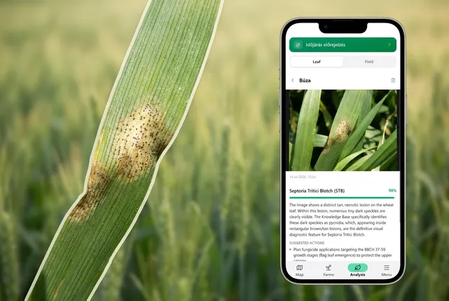 Mobile screenshot — leaf scan and result view