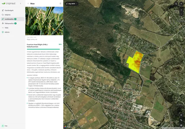 Screenshot — AI field analysis report