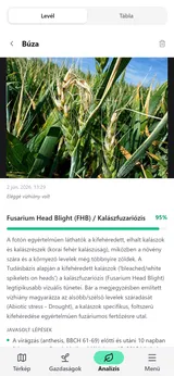 Cropnaut AI leaf analysis on a phone